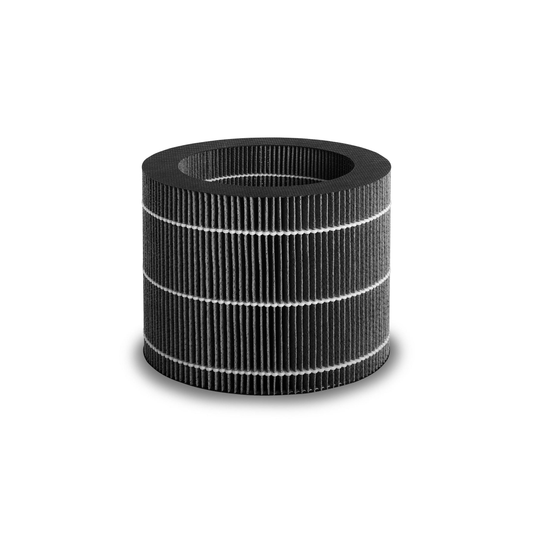 LB 200/300 Plus Ersatzfilter