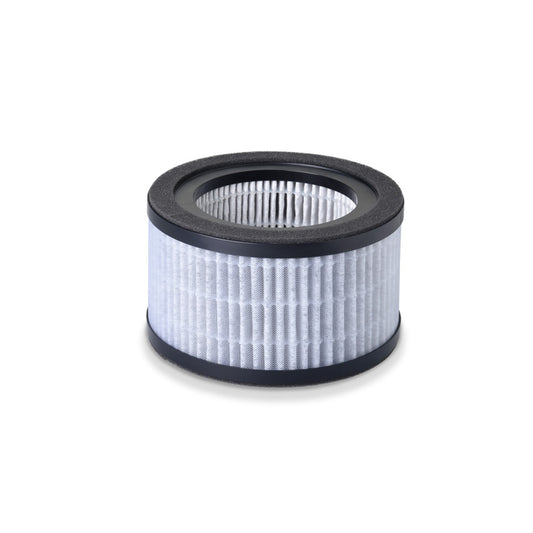 LR 220 Ersatzfilter